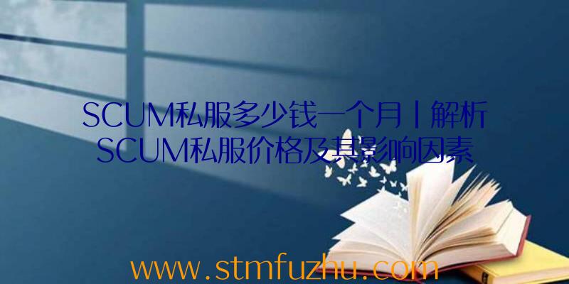 SCUM私服多少钱一个月|解析SCUM私服价格及其影响因素